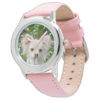 Cute longhair cream Chihuahua Dog Puppy dial-plate