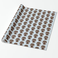 Cute Longhaired Chocolate Brown Dachshund Dog