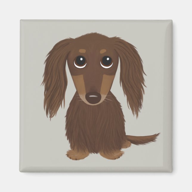 Cute Longhaired Chocolate Brown Dachshund Magnet (Front)