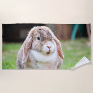 Cute lop-eared rabbit  beach towel