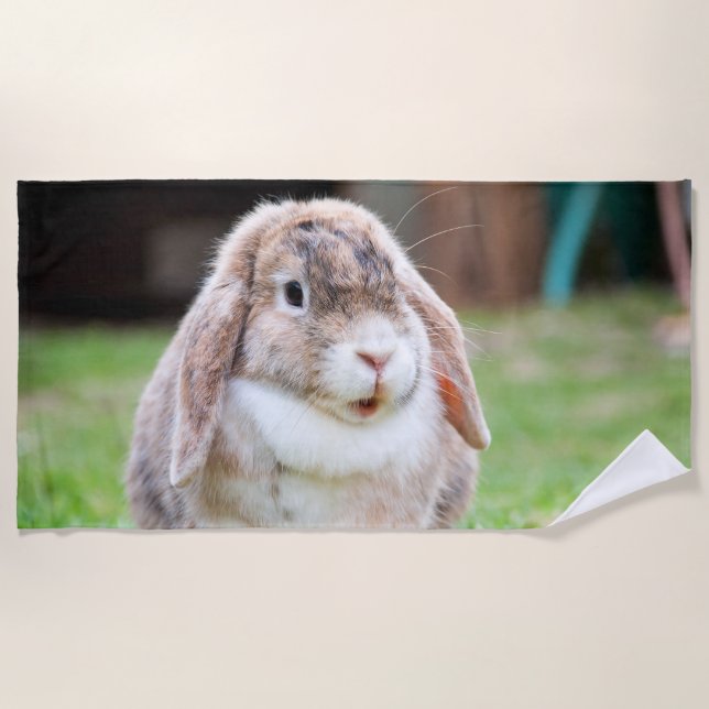 Cute lop-eared rabbit  beach towel (Front)