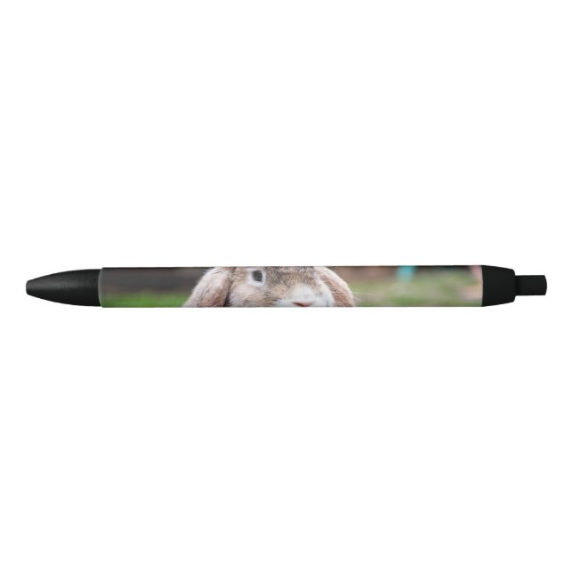 Cute lop-eared rabbit   black ink pen (Front)