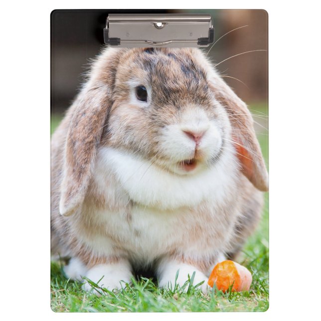 Cute lop-eared rabbit  clipboard (Front)