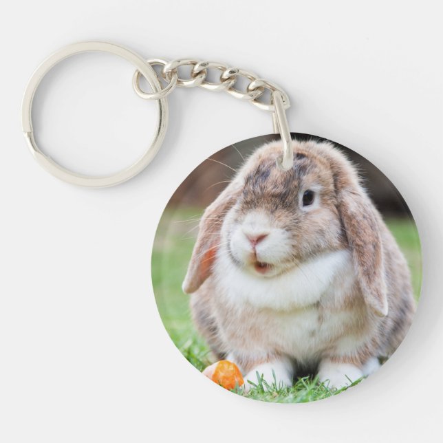 Cute Lop-Eared Rabbit in Grass with Carrot Key Ring (Front)