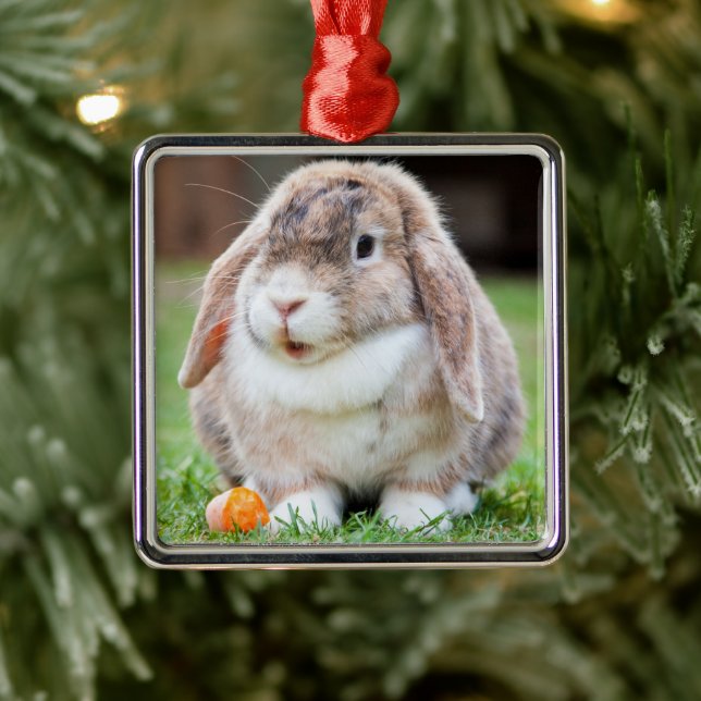 Cute Lop-Eared Rabbit in Grass with Carrot Metal Ornament (Tree)
