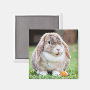 Cute Lop Eared Rabbit in the Grass with Carrot Magnet