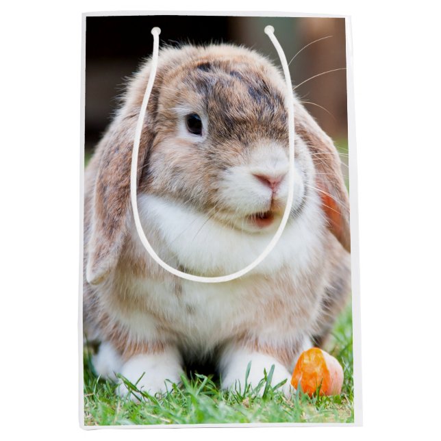 Cute lop-eared rabbit medium gift bag (Front)