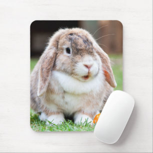 Cute lop-eared rabbit  mouse pad