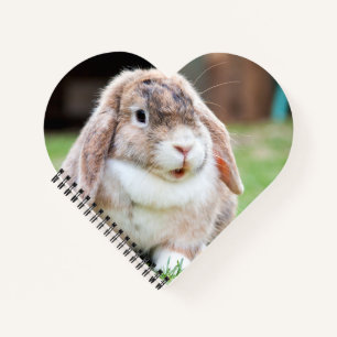 Cute lop-eared rabbit notebook