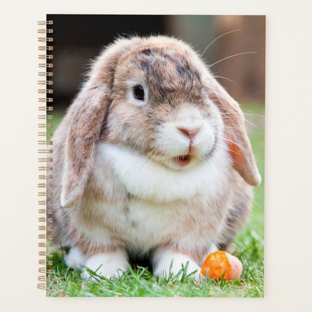 Cute lop-eared rabbit  planner (Front)