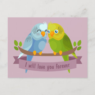 Cute Love Birds postcard