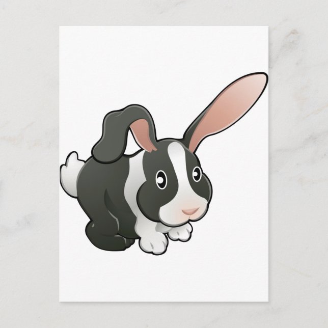 cute loveable bunny rabbit postcard (Front)