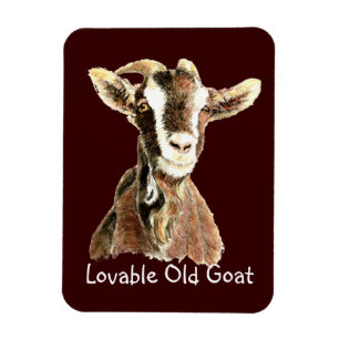 Cute Loveable Old Goat, Farm Animal Humour Magnet
