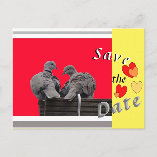 Cute Lovebirds SAVE THE DATE Hearts Postcard (Front)