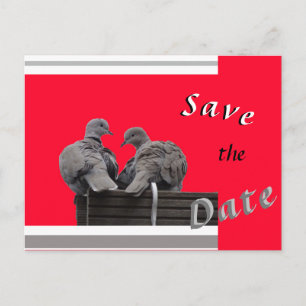 Cute Lovebirds SAVE THE DATE Postcard