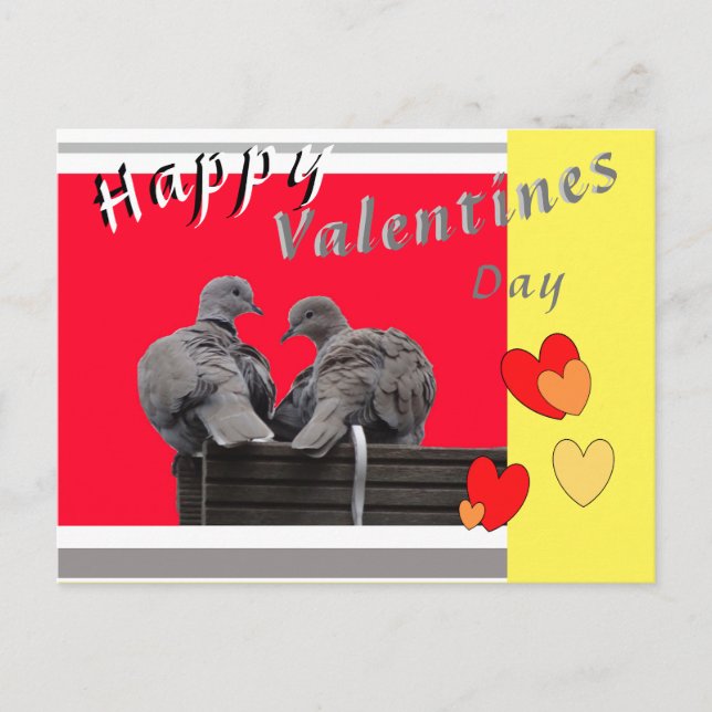 Cute Lovebirds Valentines Day Postcard (Front)