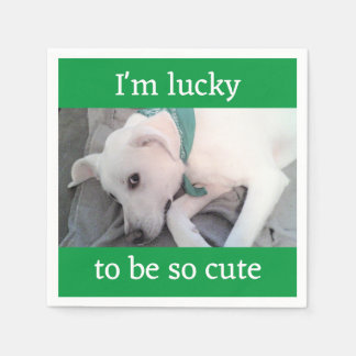 Cute Lucky White Dog Wearing Green Scarf Napkins