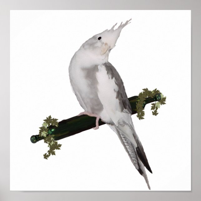 Cute Lutino Cockatiel Bird Ivy Perch Animal Poster (Front)