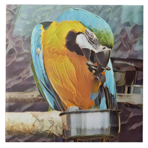 CUTE MACAW CERAMIC TILE