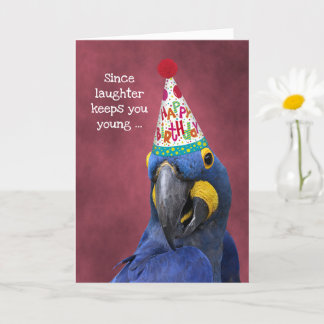 Cute Macaw Laugh to Stay Young  Birthday Card