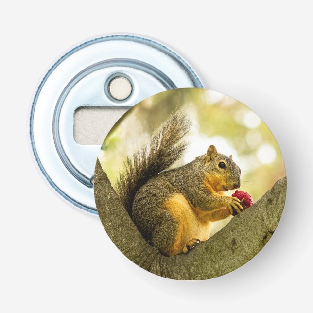 Cute Magnetic Squirrel Bottle Opener (Front)
