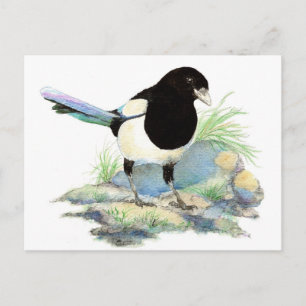 Cute Magpie  - Watercolor Bird Postcard