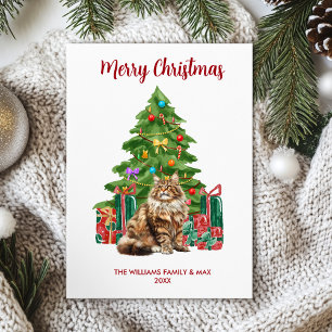 Cute Maine Coon Cat Christmas Card