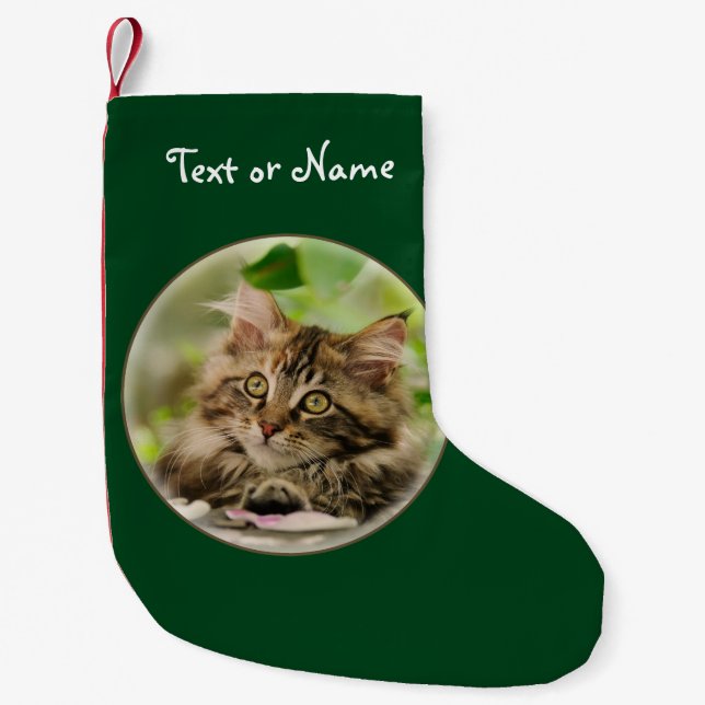Cute Maine Coon Cat Kitten - Personalised Santa Small Christmas Stocking (Front)