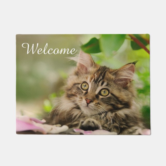 Cute Maine Coon Cat Kitten Photo - Entry Welcome Doormat (Front)