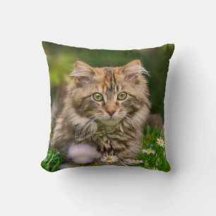 Cute Maine Coon Kitten Cat in a Flower Meadow - Cushion