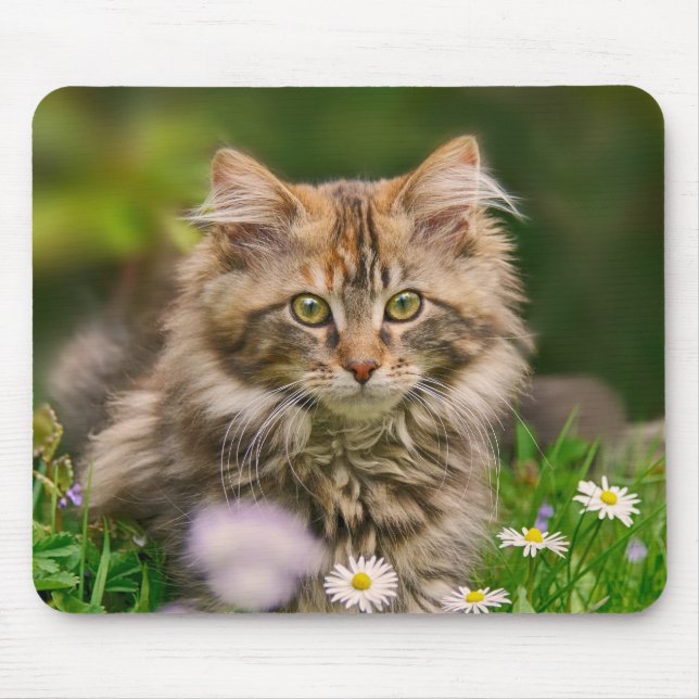 Cute Maine Coon Kitten Cat in Flower Meadow Supply Mouse Pad (Front)