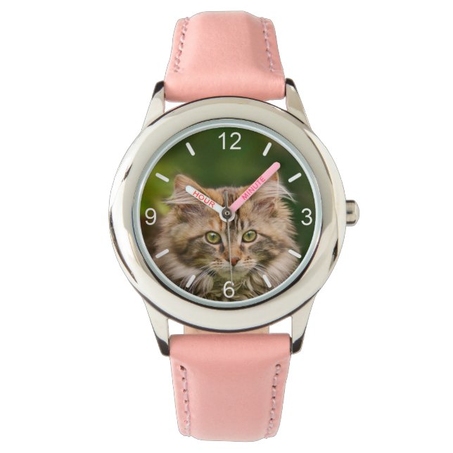 Cute Maine Coon Kitten Cat Portrait - dial-plate Watch (Front)