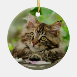 Cute Maine Coon kitten Ceramic Tree Decoration