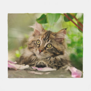 Cute Maine Coon Kitten cosy Fleece Blanket