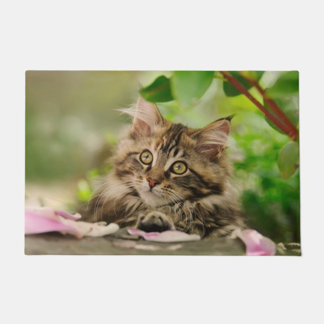 Cute Maine Coon kitten Doormat (Front)
