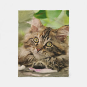 Cute Maine Coon kitten Fleece Blanket