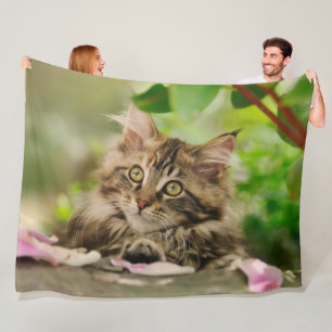 Cute Maine Coon Kitten in a Garden Fleece Blanket