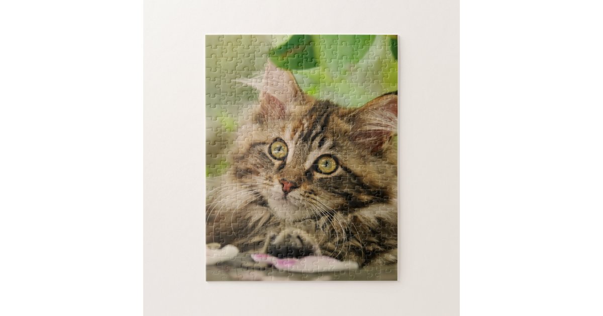 Cute Maine Coon kitten Jigsaw Puzzle | Zazzle