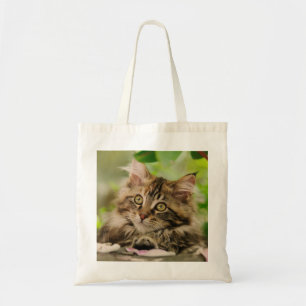 Cute Maine Coon kitten Tote Bag