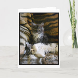 Cute Maine Coon kittens greeting card