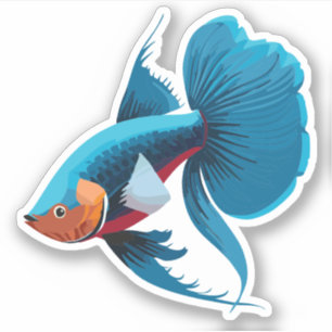 Cute Male Beta Fish Cartoon Charactor