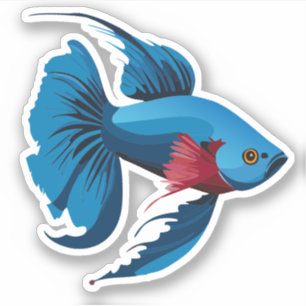 Cute Male Beta Fish Cartoon Charactor