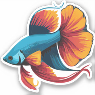 Cute Male Beta Fish Cartoon Charactor