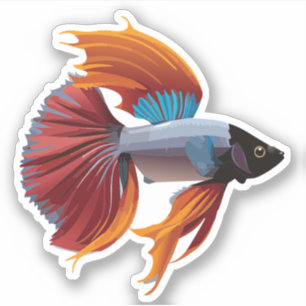Cute Male Beta Fish Cartoon Charactor