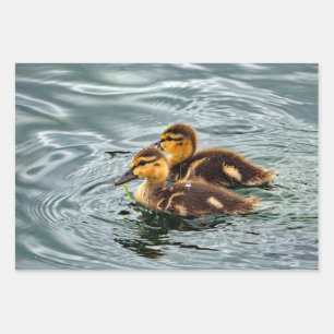 Cute Mallard Ducklings Photo Wrapping Paper Sheet