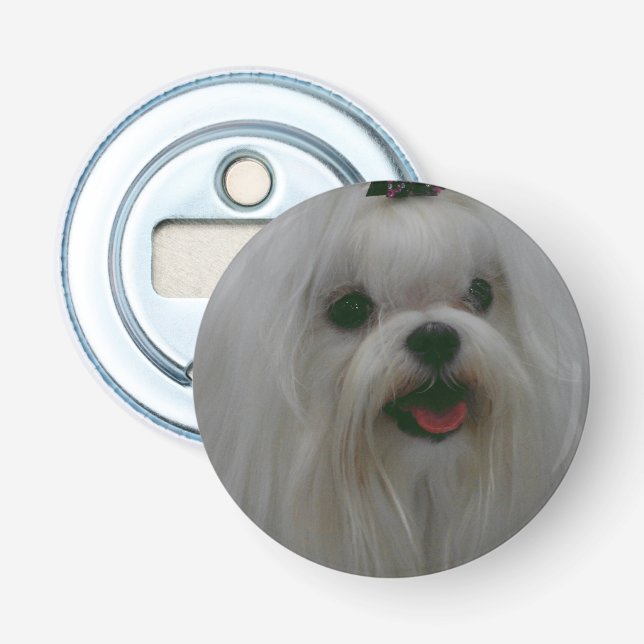 Cute Maltese Bottle Opener (Front)