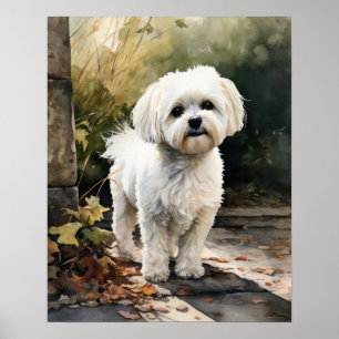 Cute Maltese Dog Art Print Poster
