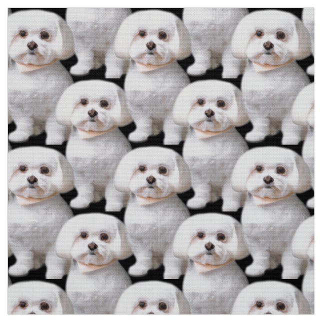 Cute Maltese Dog Fabric (Swatch)