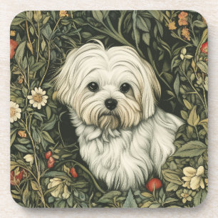 Cute Maltese Dog in a William Morris Style Garden Coaster