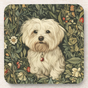 Cute Maltese Dog in a William Morris Style Garden Coaster